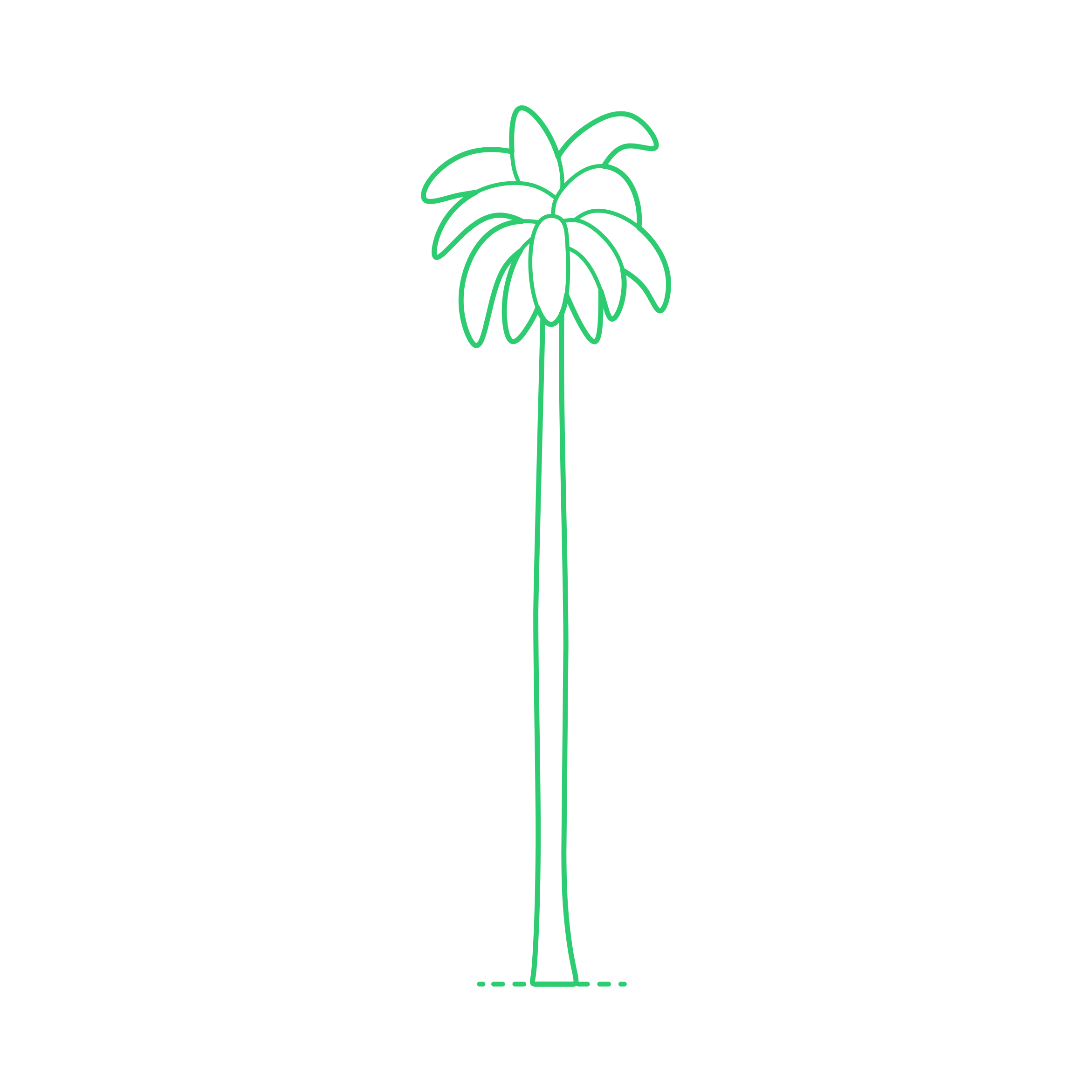 Plants Palms Royal Palm Contour Svg Vector Free Vectors